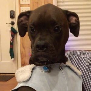 Meet your Posher, Emily